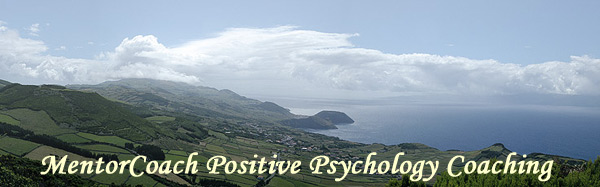 Positive psychology coaching techniques