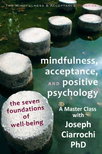 mindfulness-acceptance-book-cover
