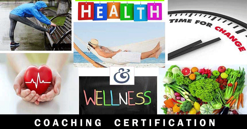 Health Wellness Certification